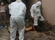 Temukan Indikasi Brucellosis, Karantina Kalsel Terpaksa Potong Ternak 34 Temukan Indikasi Brucellosis, Karantina Kalsel Terpaksa Potong Ternak
