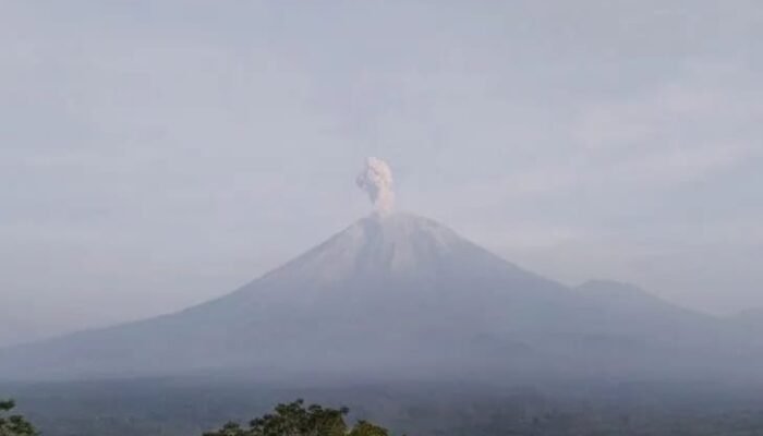 Gunung Semeru Erupsi Enam Kali dengan Letusan Abu hingga 900 meter
