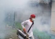 Kasus DBD Meningkat, Perilaku PHBS Jadi Salah Satu Upaya Penekanan
