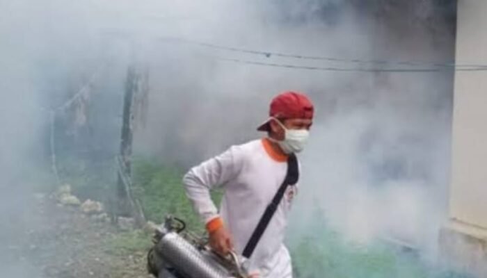 Kasus DBD Meningkat, Perilaku PHBS Jadi Salah Satu Upaya Penekanan