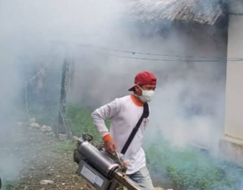 Kasus DBD Meningkat, Perilaku PHBS Jadi Salah Satu Upaya Penekanan 1 1000408335