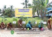 Desa Sukaramai Dicanangkan Desa Peningkatan Kualitas Keluarga 30 Desa Sukaramai Dicanangkan Desa Peningkatan Kualitas Keluarga