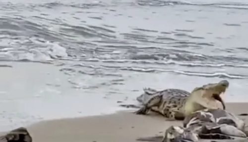 IMG 20240504 WA0012 e1714812143198