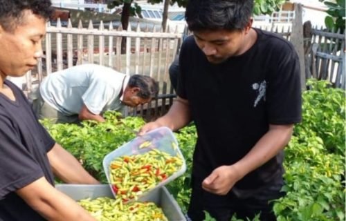 IMG 20240510 WA0021 e1715329306398