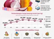 Upaya Pemerintah Stabilkan Harga Bawang Merah