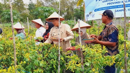 IMG 20240518 WA0022 e1716026185116