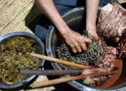Perempuan Penjaga Harmonisasi Alam dari Dayak Iban 22 Perempuan Penjaga Harmonisasi Alam dari Dayak Iban