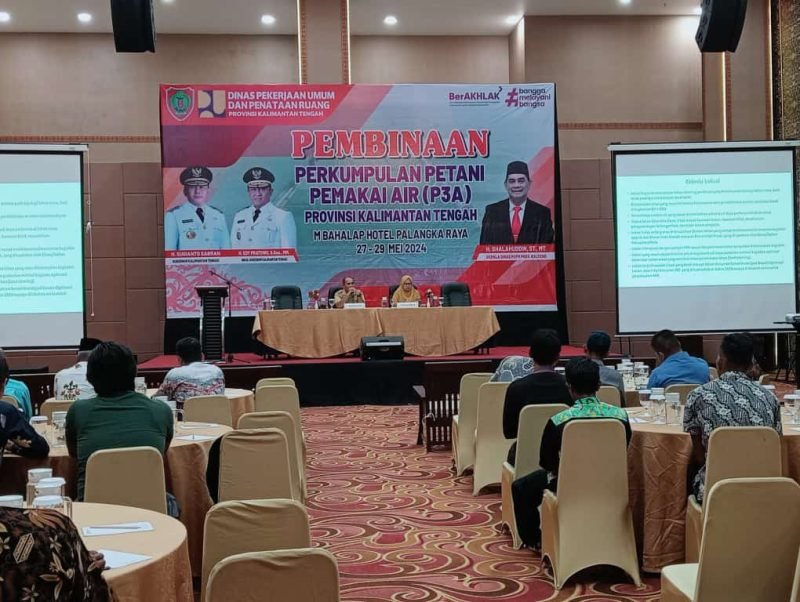 IMG 20240529 WA0011 e1716958889184