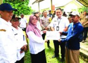 Belasan Kelompok Tani Utara Tabalong Dibantu Sapi 33 Belasan Kelompok Tani Utara Tabalong Dibantu Sapi