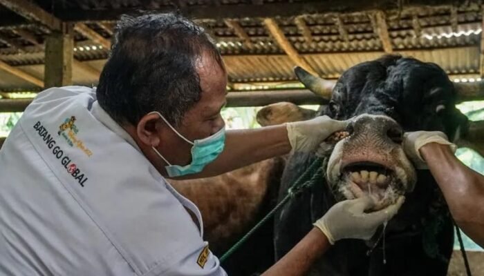 Jelang Idul Adha, OJK Imbau Masyarakat Waspadai Penipuan Kurban Online