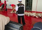 Jamaah Kloter BDJ-18 Embarkasi Banjarmasin Sudah Bayar Dam Nusuq 12 Jamaah Kloter BDJ-18 Embarkasi Banjarmasin Sudah Bayar Dam Nusuq