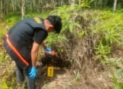 Bayi Perempuan Ditemukan di Kebun Karet Upau, Tabalong. Orangtuanya Malu Akibat Perbuatan di Luar Nikah 10 Bayi Perempuan Ditemukan di Kebun Karet Upau, Tabalong. Orangtuanya Malu Akibat Perbuatan di Luar Nikah