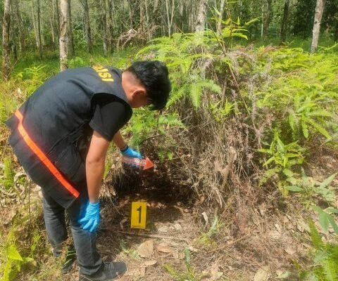 Bayi Perempuan Ditemukan di Kebun Karet Upau, Tabalong. Orangtuanya Malu Akibat Perbuatan di Luar Nikah