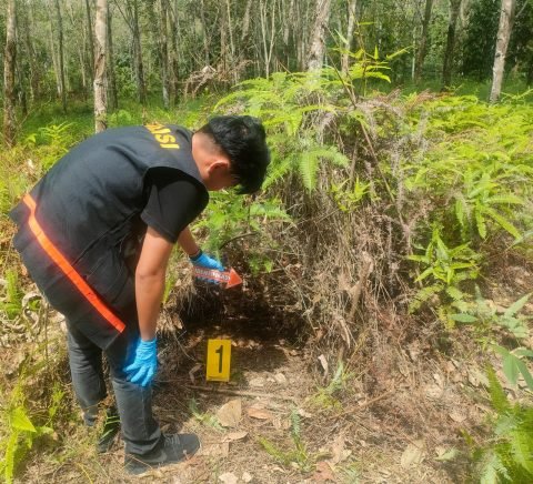 1000430917 e1718441072153