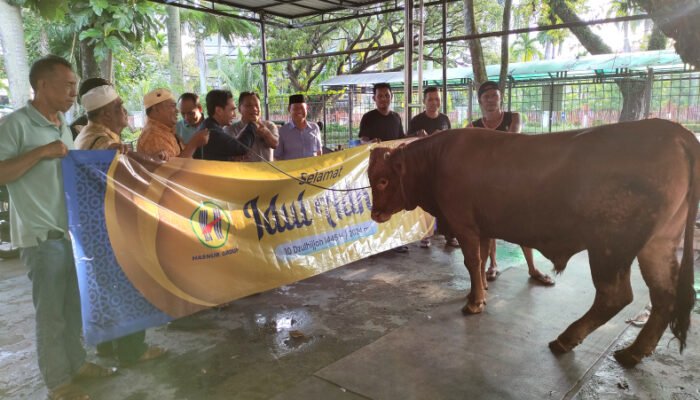 Iduladha 1445 H, Hasnur Group dan Yayasan Hasnur Center Salurkan Ratusan Hewan Kurban