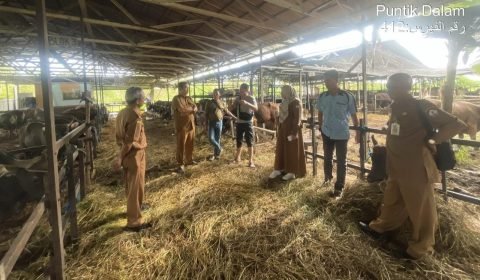 1000432864 e1718540755321