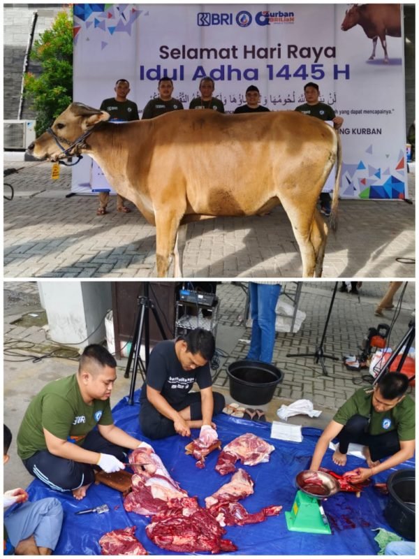 1000436941 e1718779680703