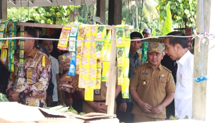 Presiden Jokowi Tinjau Pasar Temenggoeng Djaja Karti, Barito Timur