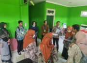 Pusdatin Kemenkes Lakukan User Research Tiga Puskesmas