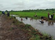 Distan Ajak Petani Bersihkan Saluran Air Sawah