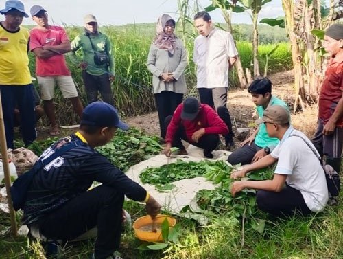 Hal 16 2 KLm Martapura Pupuk hayati