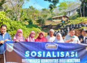 Tingkatkan Produktivitas-Kualitas Cabai di Aranio