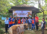 Moment Idul Adha 1445 H Ratusan Hewan Kurban Dibagikan