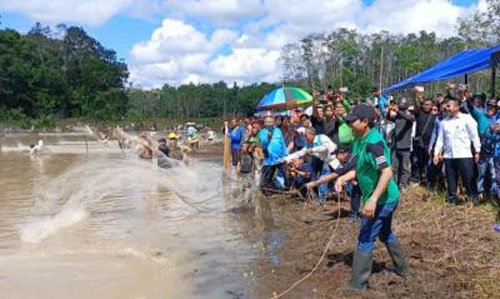 Bupati Balangan Ikut 'Bagagap Iwak' di Desa Panggung 1 Hal 2 Bal 3 klm 8