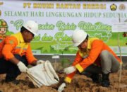 Hijaukan Lobang Bekas Galian Tambang 15 Hijaukan Lobang Bekas Galian Tambang