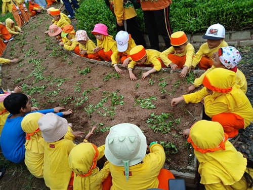 Seru, Anak TK dan Paud Sholeh Mandiri Outbound ke Amanah Borneo Park 1 Hal 9 3 KLm Seru