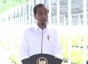 Presiden Resmikan Fasilitas Persemaian 15 Juta Bibit di Mentawir 13 Presiden Resmikan Fasilitas Persemaian 15 Juta Bibit di Mentawir