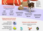 Pasokan Hewan Kurban 2024 Aman 33 Pasokan Hewan Kurban 2024 Aman