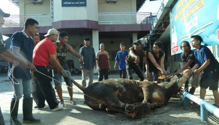 Rayakan Idul Adha, Polresta Banjarmasin Berbagi Daging Kurban 3 IMG 20240618 WA0037