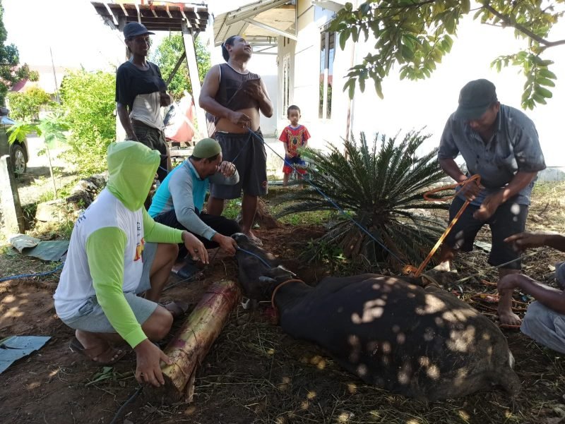 IMG 20240618 WA0046 e1718710234327