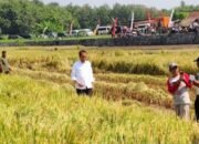 Presiden Tinjau Pompanisasi di Desa Krendowahono Karanganyar 12 Presiden Tinjau Pompanisasi di Desa Krendowahono Karanganyar