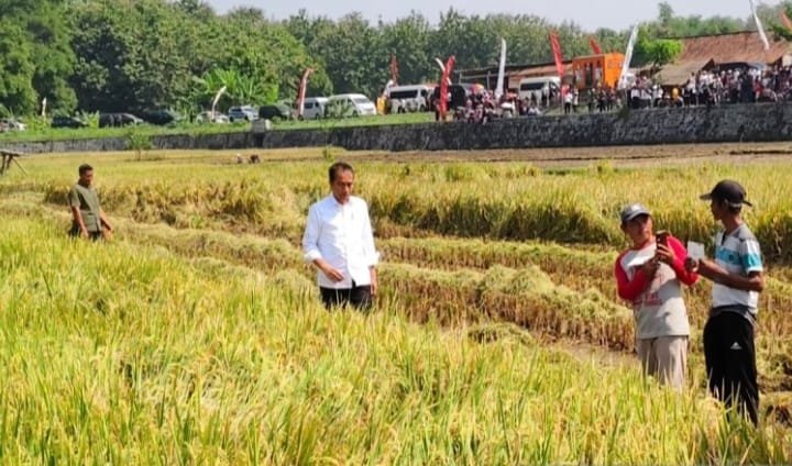 Presiden Tinjau Pompanisasi di Desa Krendowahono Karanganyar 1 IMG 20240619 WA0007