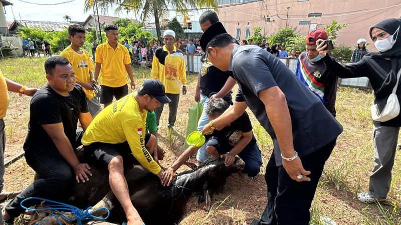 IMG 20240619 WA0022 e1718790521490