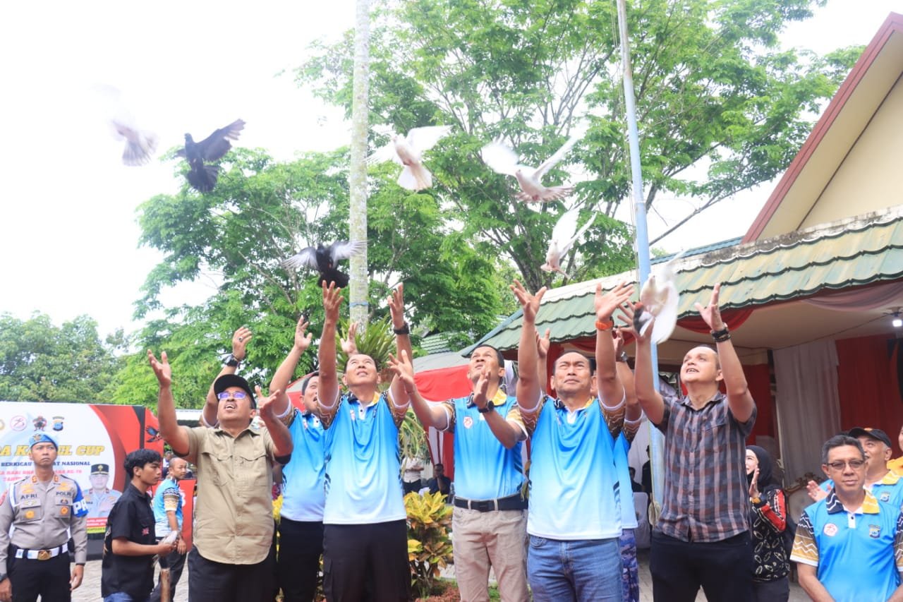 IMG 20240623 WA0066 1