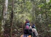 Hutan Wehea, Warisan Alam yang Terus Dijaga Kelestariannya 17 Hutan Wehea, Warisan Alam yang Terus Dijaga Kelestariannya