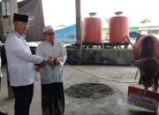 Sapi Kurban Jenis Limousine dari Kapolri dan Kapolda Kalsel Diserahkan di Kabupaten Banjar 15 Sapi Kurban Jenis Limousine dari Kapolri dan Kapolda Kalsel Diserahkan di Kabupaten Banjar