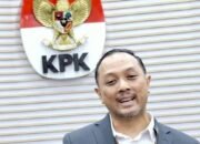 Disebut Rekrutmen Calon Pimpinan dan Dewas Sepi Peminat, Ini Jawaban KPK 35 Disebut Rekrutmen Calon Pimpinan dan Dewas Sepi Peminat, Ini Jawaban KPK