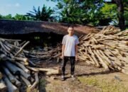 Syarif “Halaban”, Patriot Ekspor Arang Tanah Laut