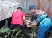 Sosok Mayat Bayi Baru Lahir Ditemukan di Samping Rumah Warga Gang Keramat Banjarmasin