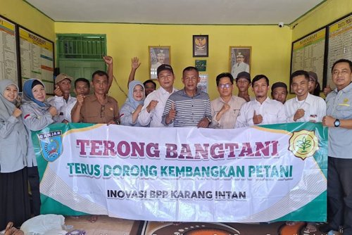 Terong Bangtani Tingkatkan Populasi Sapi di Karang Intan 1 16 MTP2