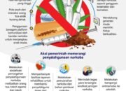 Memerangi Penyalahgunaan Narkoba pada Generasi Muda 14 Memerangi Penyalahgunaan Narkoba pada Generasi Muda