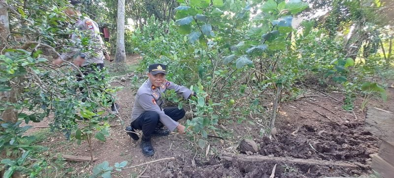 IMG 20240717 WA0018 e1721192182335