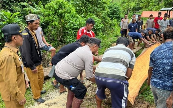 IMG 20240726 WA0026 1