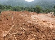 Korban Tewas Tanah Longsor 215 Orang, 206 Hilang