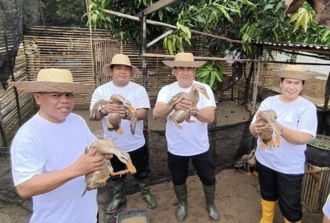 Kakanwil dan Pimti Kemenkumham Kalsel Apresiasi Hasil Panen SAE Lapas Kelas IIB Banjarbaru 1 1000511530 e1723075938722