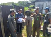 Satpol PP Banjarbaru Tindaklanjuti Pembongkaran Kandang Babi
